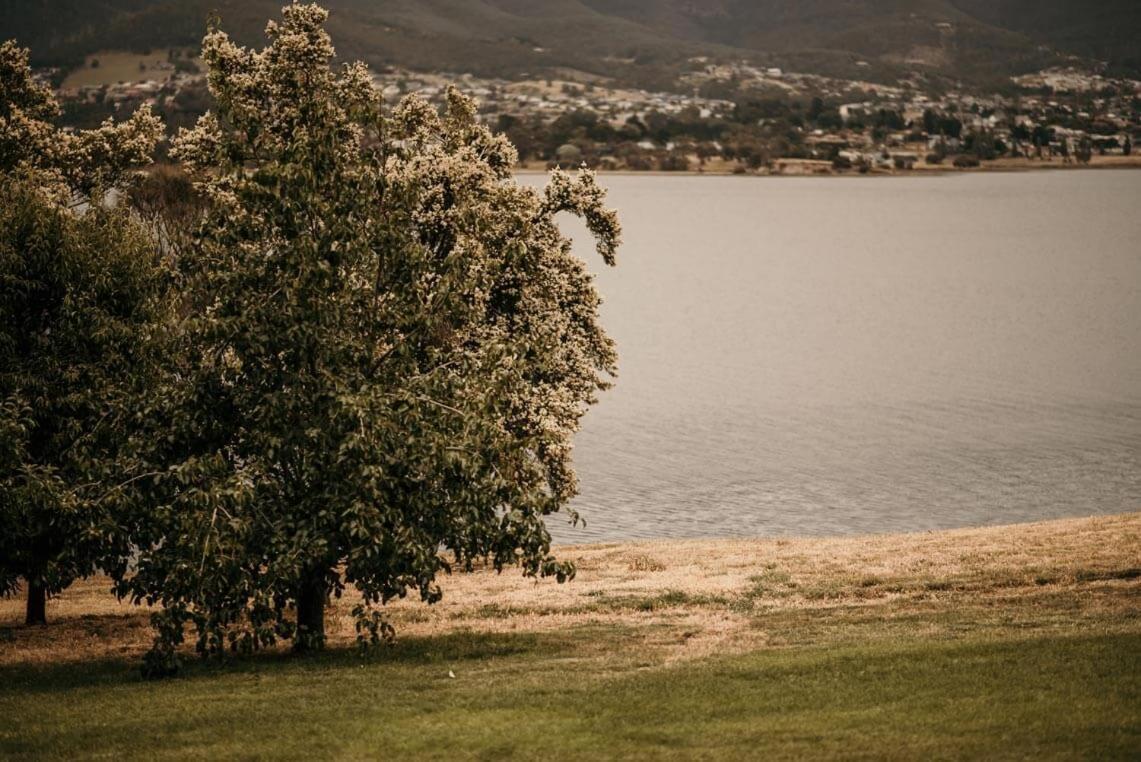 Otago Cottage Hobart Dış mekan fotoğraf